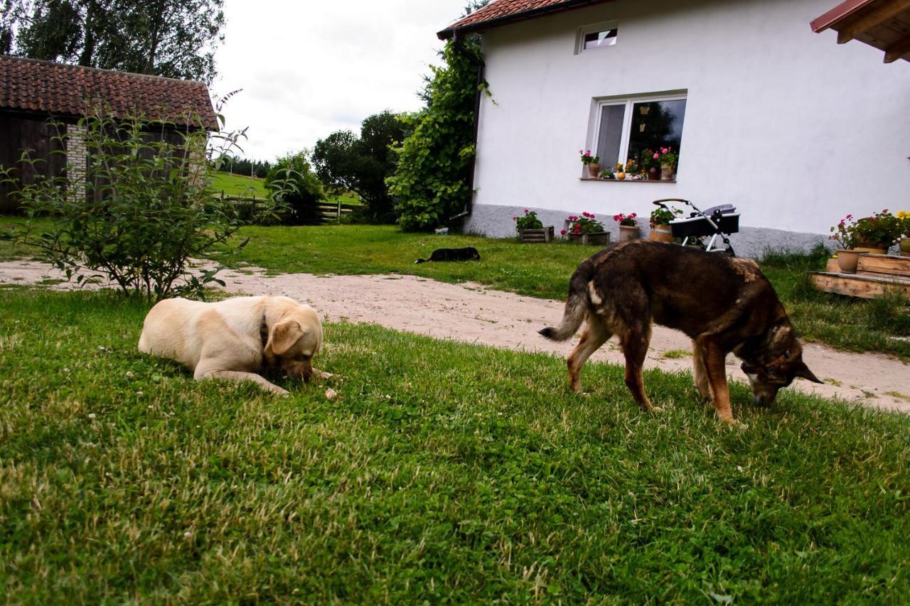 Zakatek Szczescia Eko Agroturystyka Kiwity Exteriér fotografie