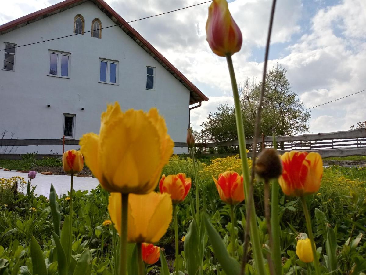 Zakatek Szczescia Eko Agroturystyka Kiwity Exteriér fotografie