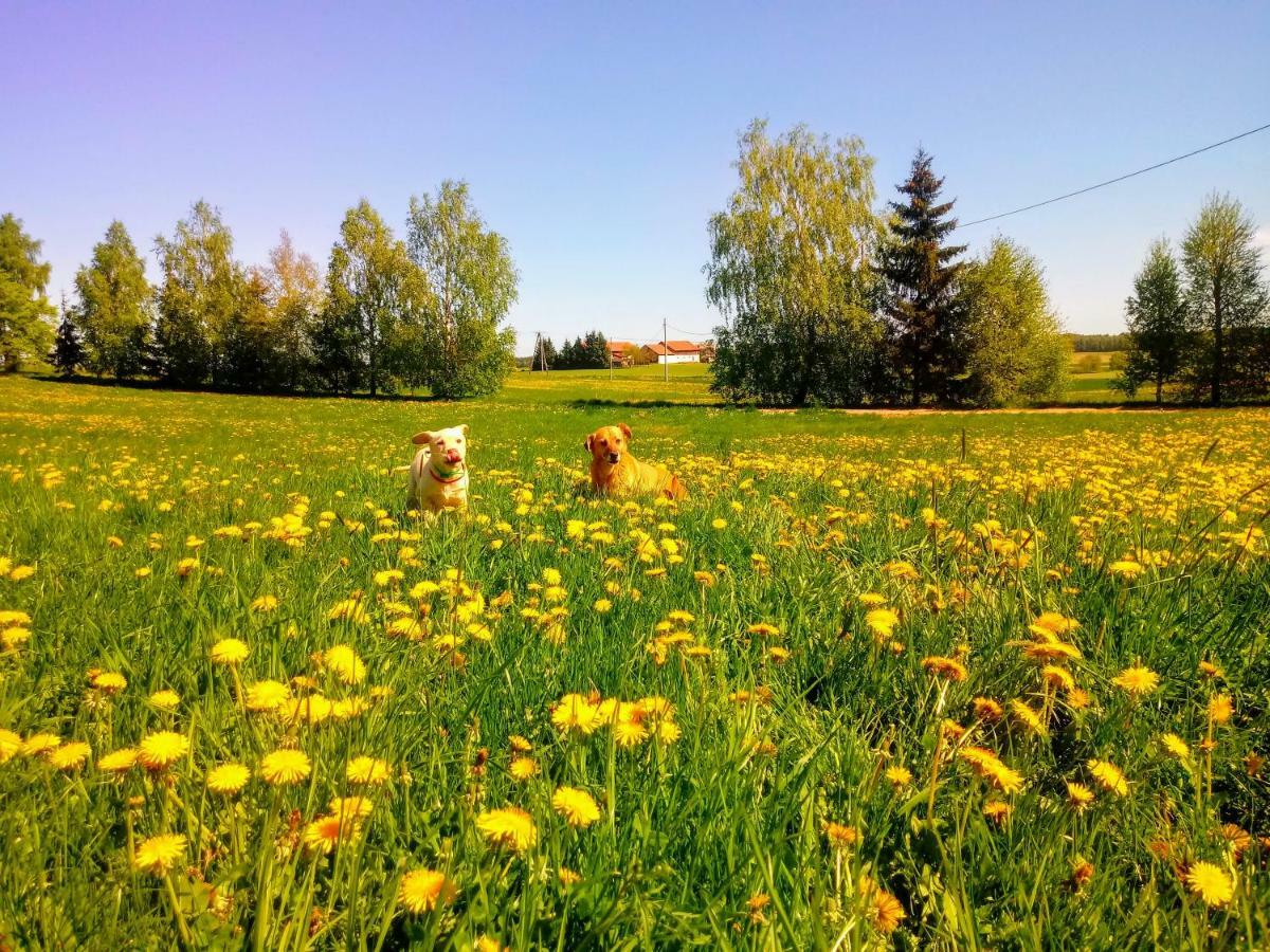 Zakatek Szczescia Eko Agroturystyka Kiwity Exteriér fotografie