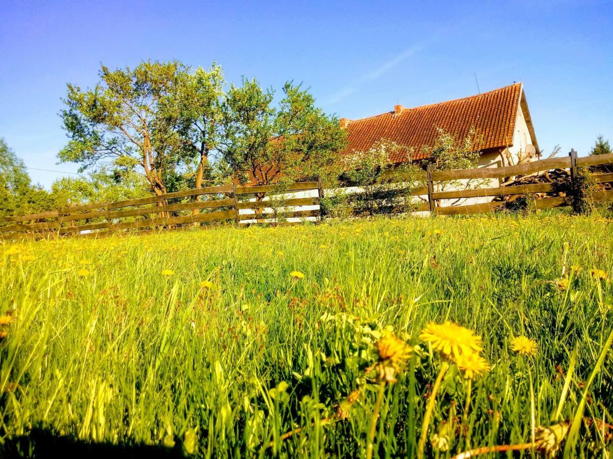 Zakatek Szczescia Eko Agroturystyka Kiwity Exteriér fotografie